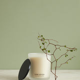 Pure Cotton Candle 300g | White-1