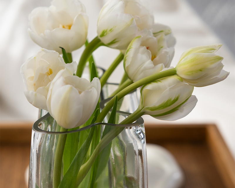 Spring Living