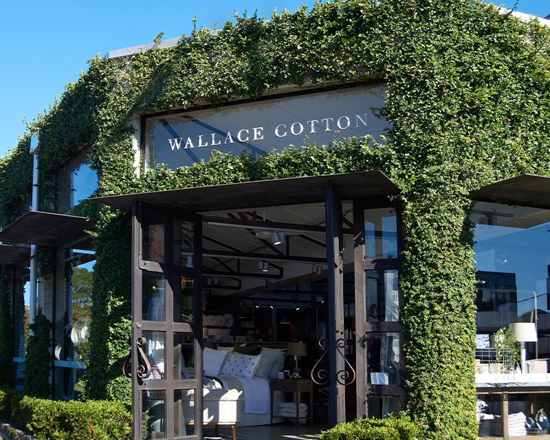 Auckland Lifestyle Guide