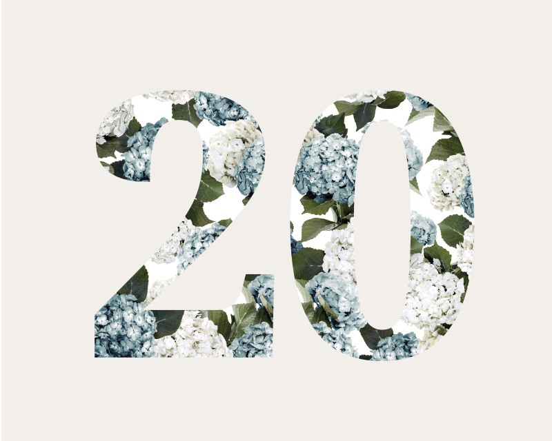 20 years of Wallace Cotton