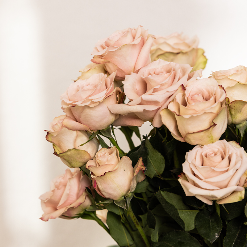 Floral styling tips