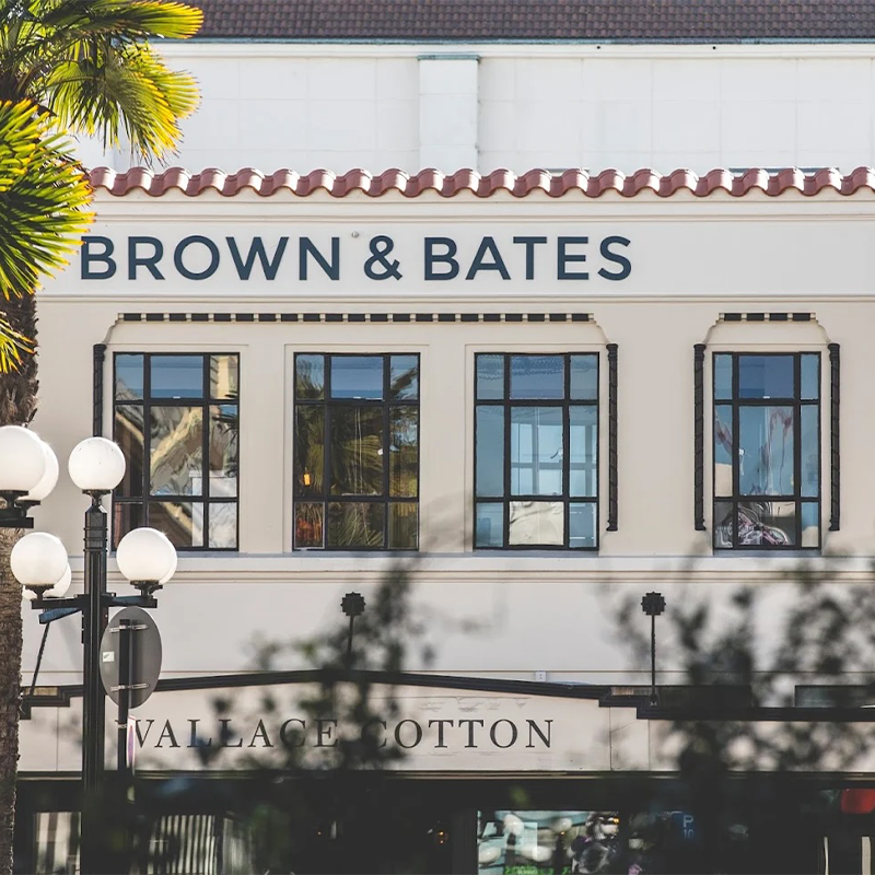 Napier Lifestyle Guide