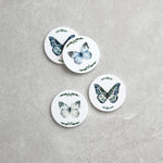 Butterflies Ceramic Coaster Set of 4 | Blue-1