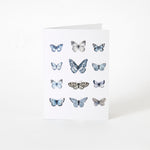 Butterfly Greeting Card | Multi-1