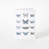 Butterfly Greeting Card | Multi-1