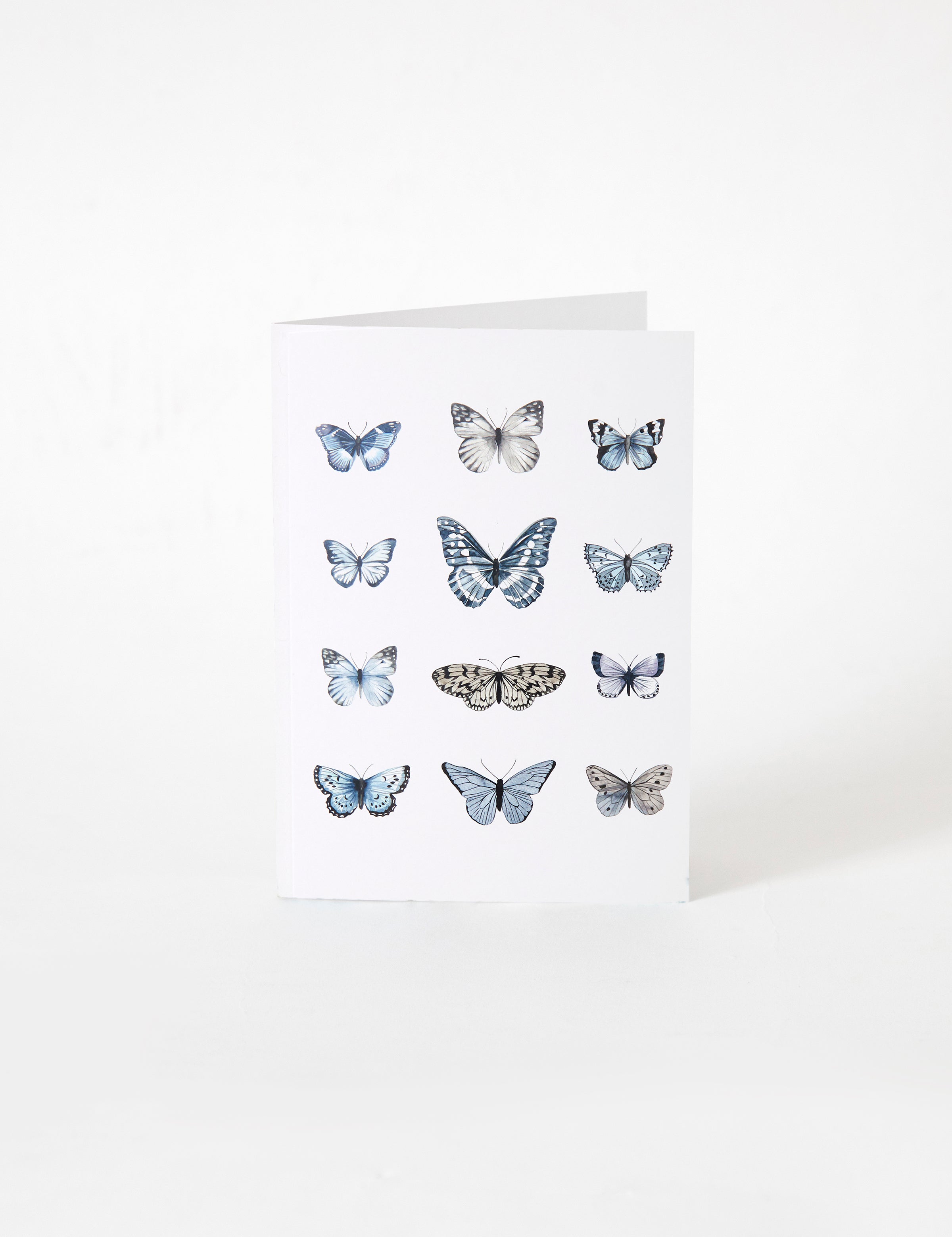 Butterfly Greeting Card | Multi-1