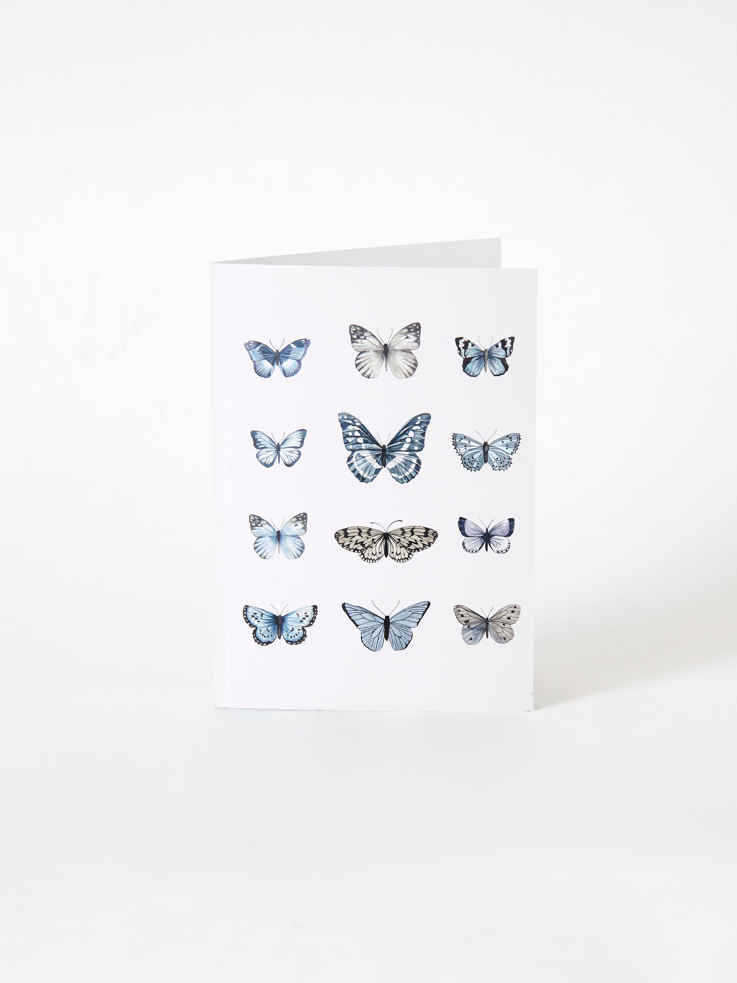 Butterfly Greeting Card | Multi-1