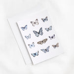 Butterfly Greeting Card | Multi-2