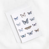 Butterfly Greeting Card | Multi-2