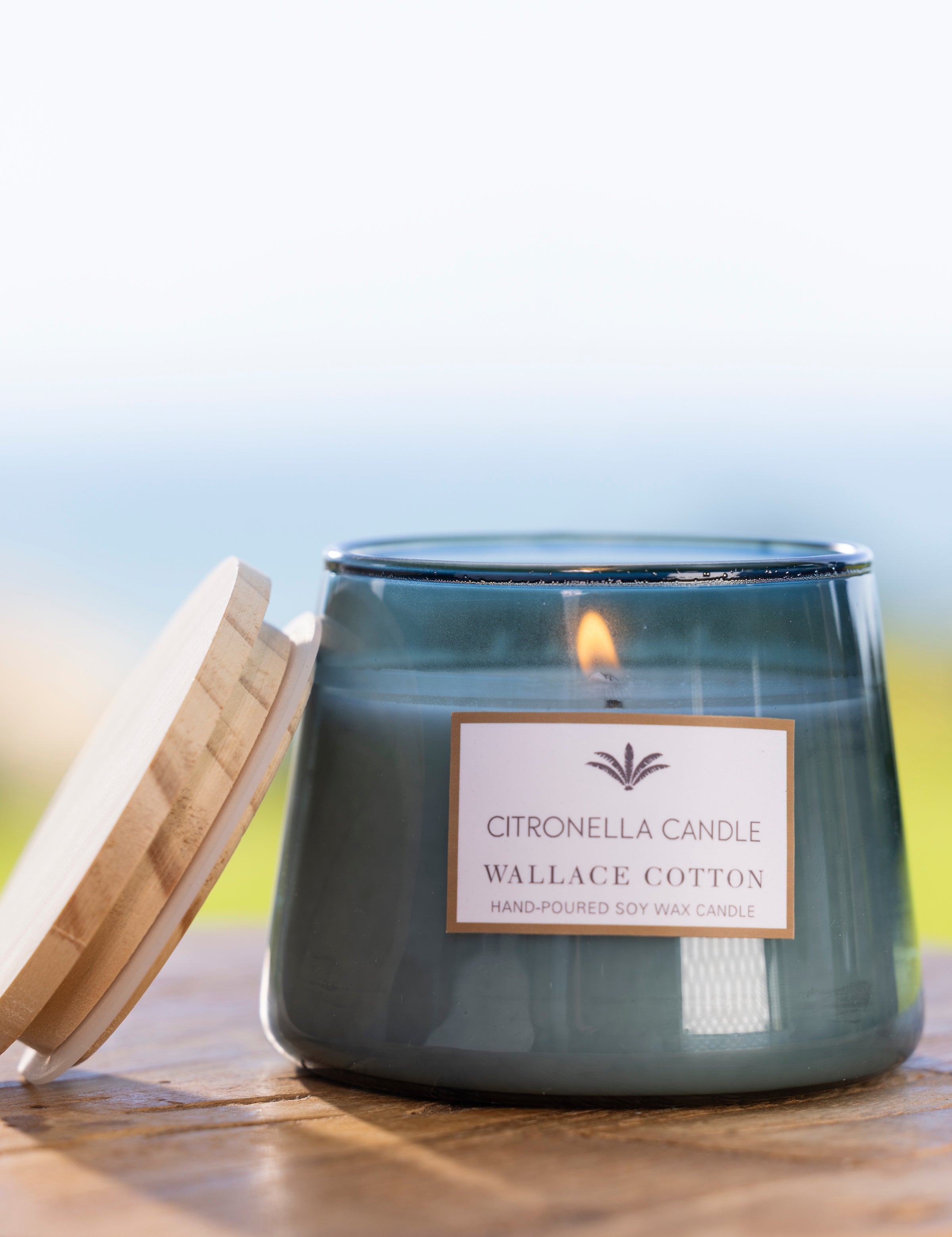 Citronella Candle | Blue-2