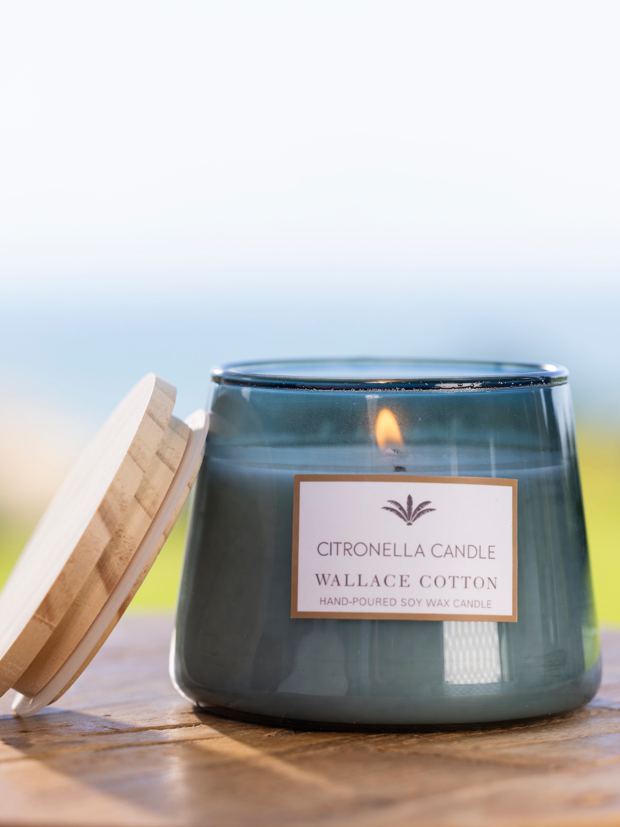 Citronella Candle | Blue-2