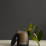 Citrus Cleanse Candle 300g | Black-1