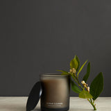 Citrus Cleanse Candle 300g | Black-1