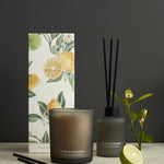 Citrus Cleanse Candle 300g | Black-2