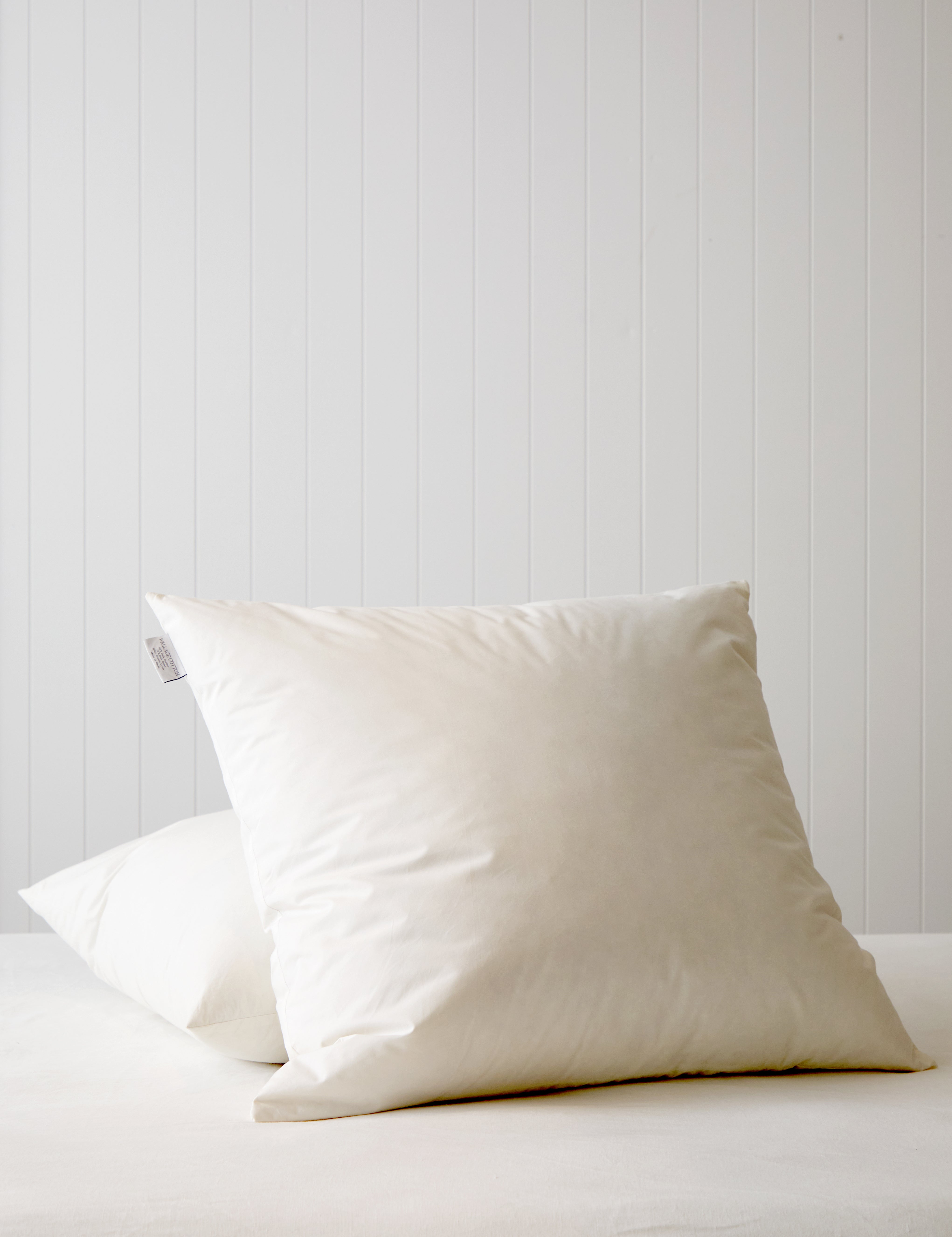 Downtime Duck Feather European Pillow Inner | White-1