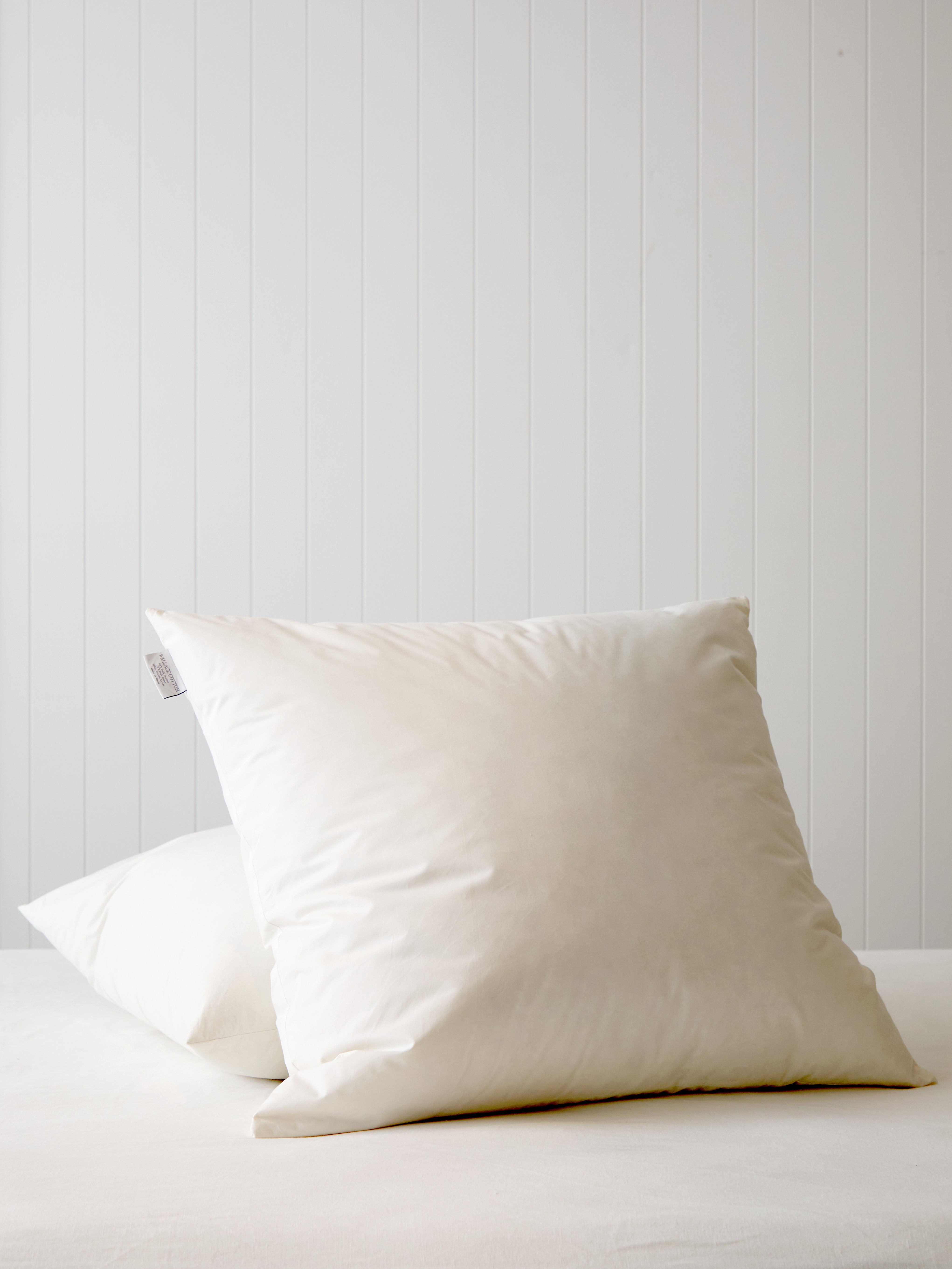 Downtime Duck Feather European Pillow Inner | White-1