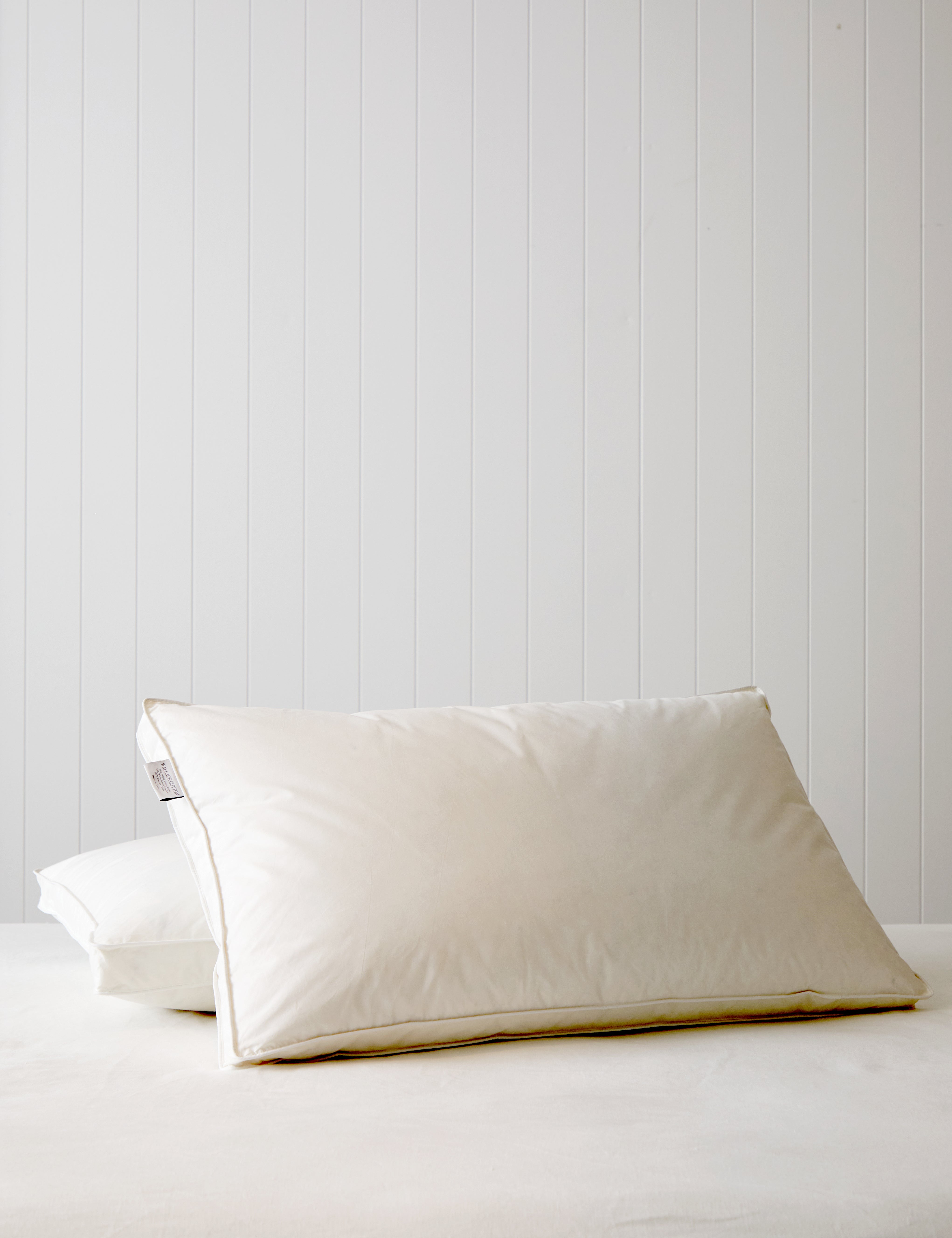 Downtime Luxury Goose Standard Pillow Inner | White-1