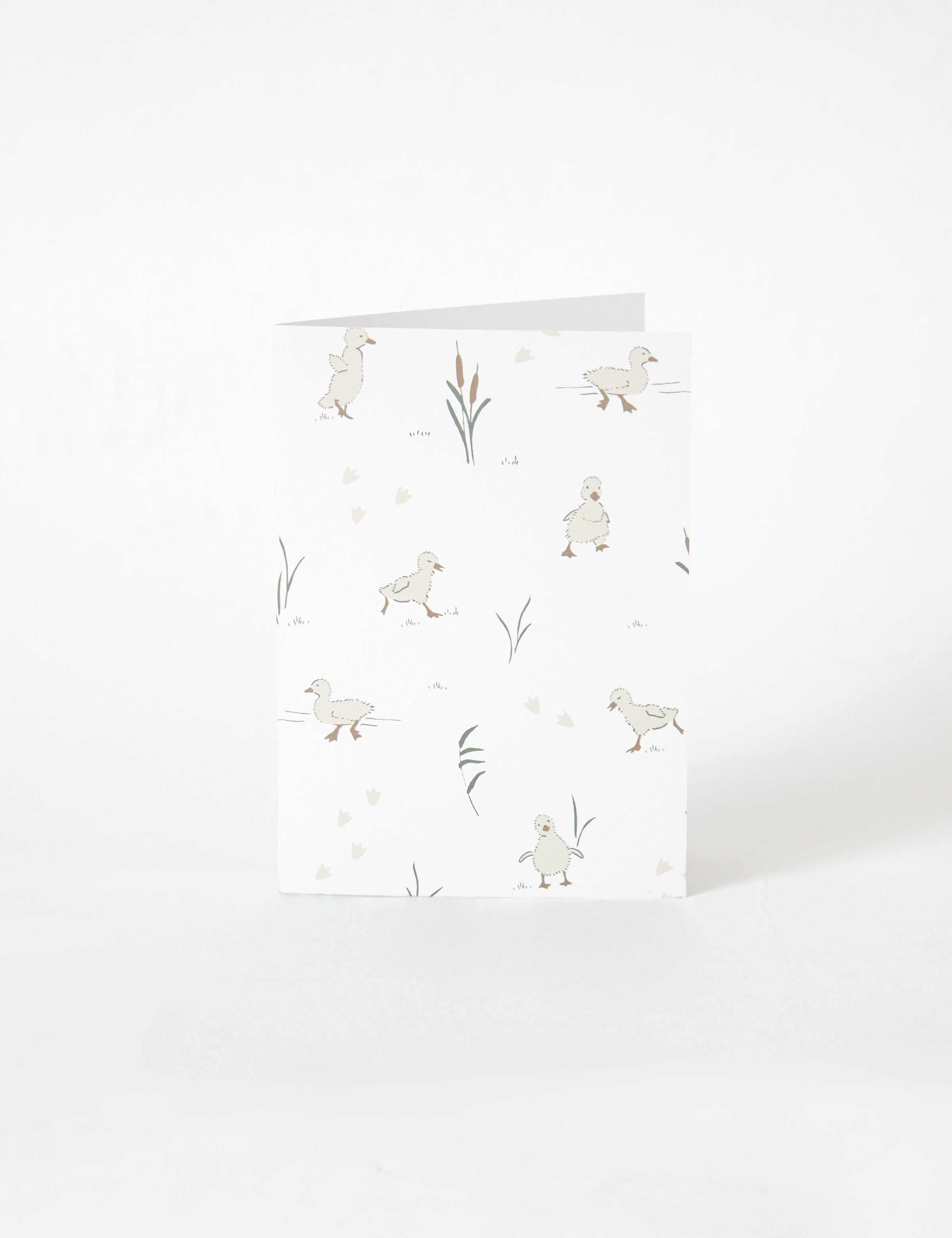 Featherley Greeting Card | Multi-1