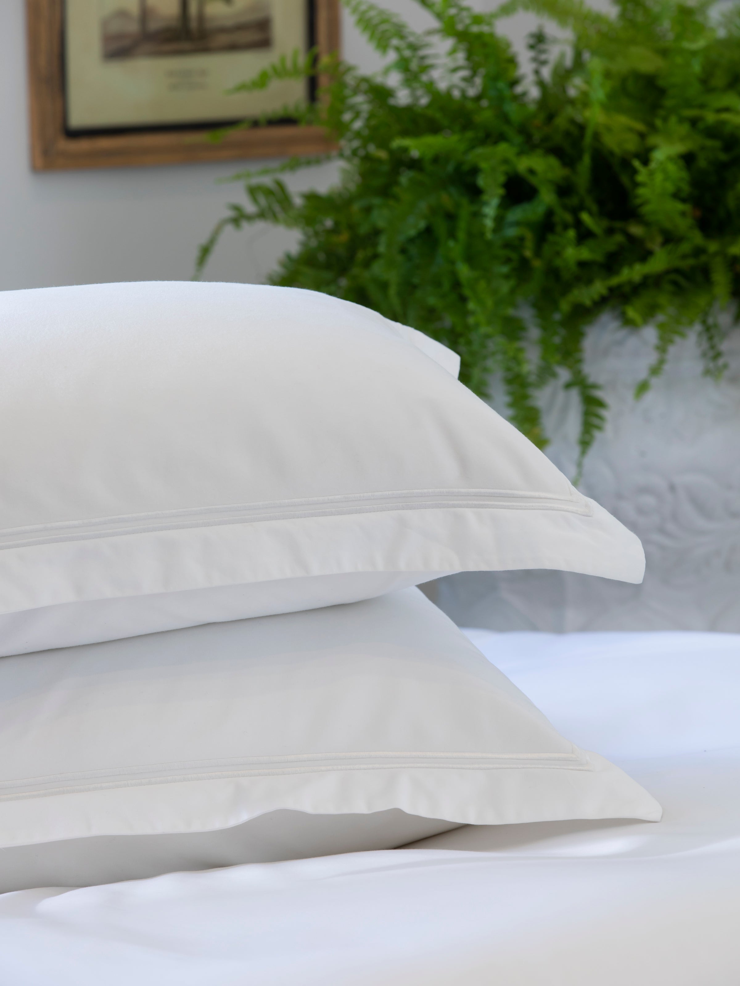 Monarch Oxford Pillowcase Set | White-2