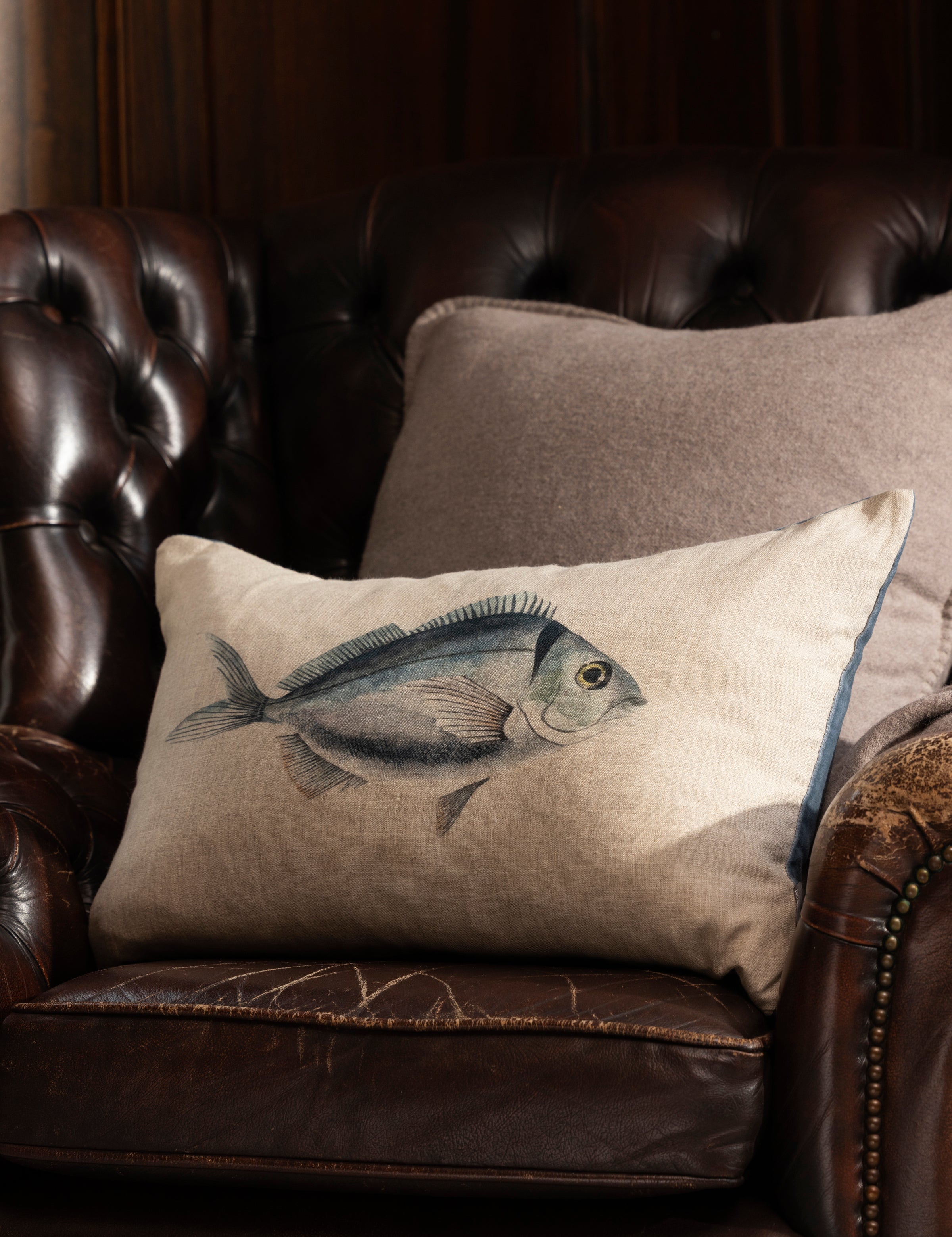 Ocean Fish Rectangle Cushion Cover | Blue-2