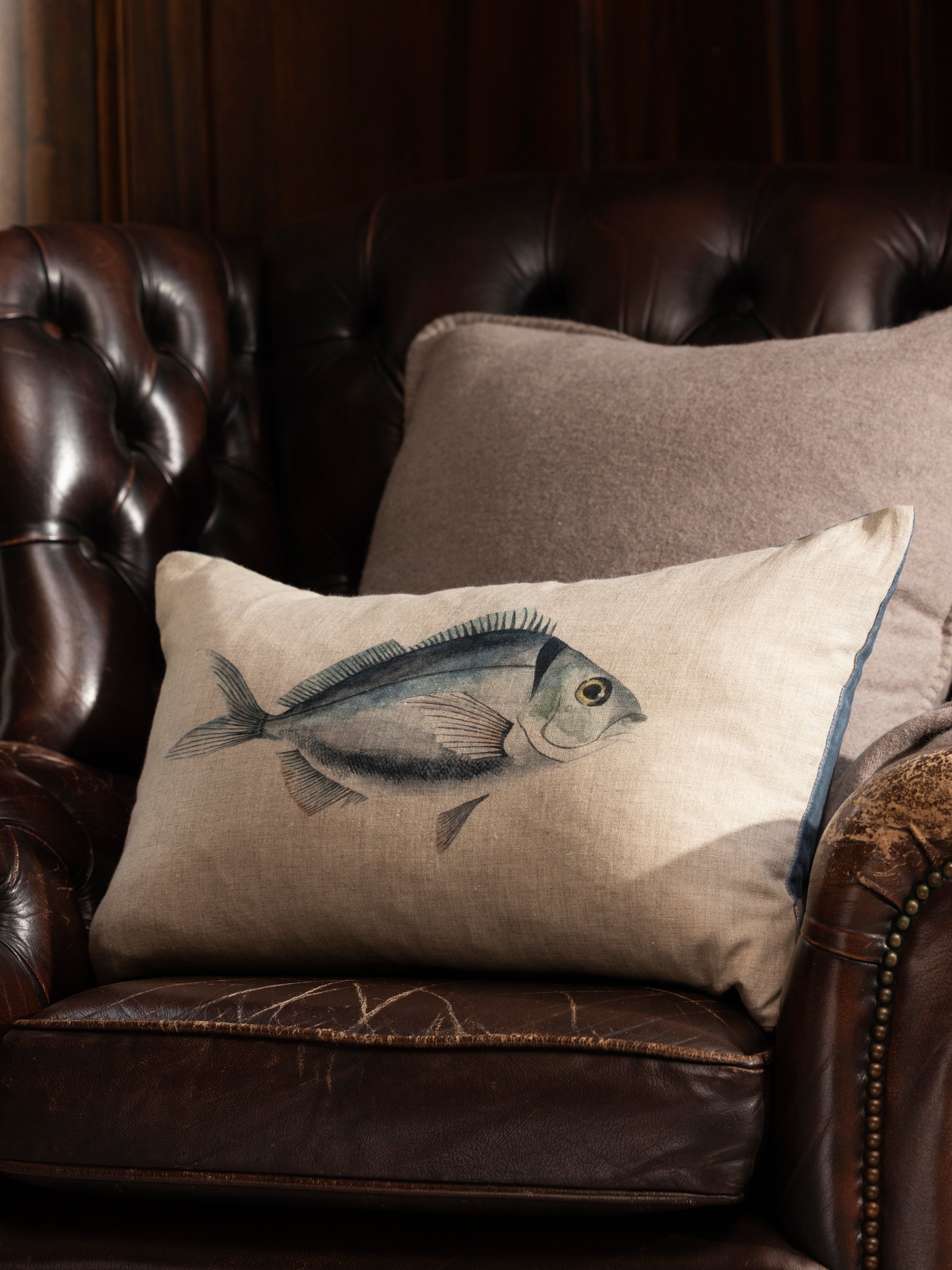 Ocean Fish Rectangle Cushion Cover | Blue-2
