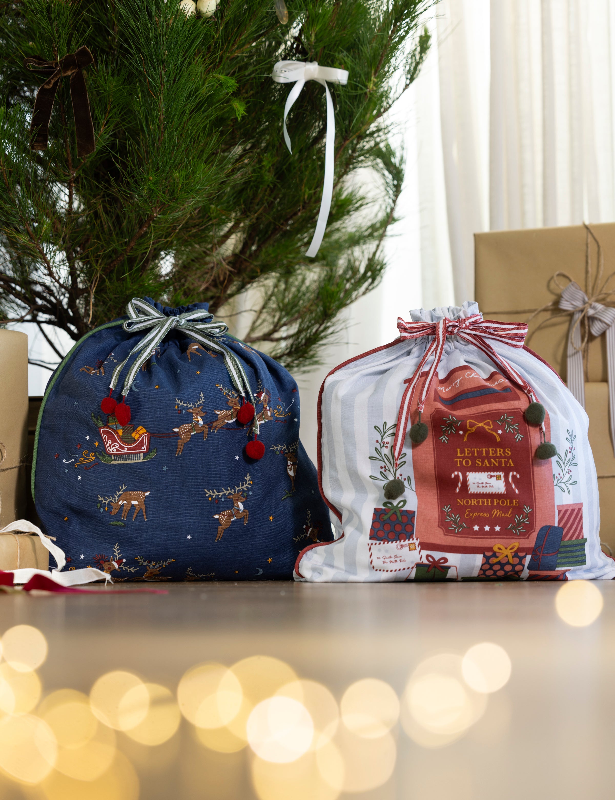 Reindeer Magic Santa Sack | Multi-2