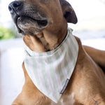Riley Dog Bandana | Green Stripe-2