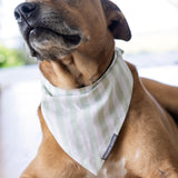 Riley Dog Bandana | Green Stripe-2