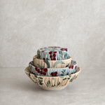 Seedling Dish Cover Set of 4 | Multi-1