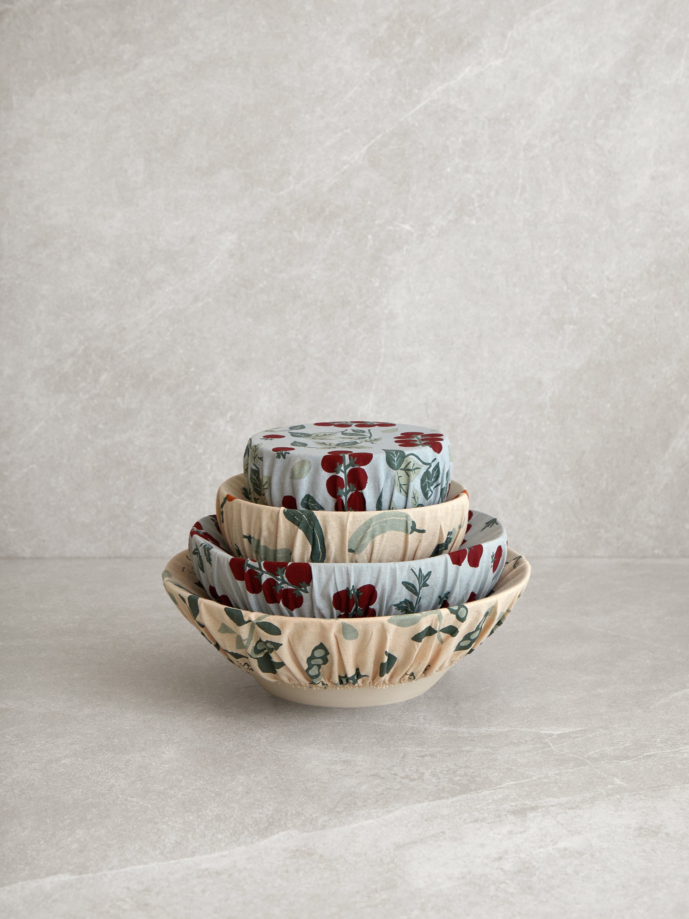 Seedling Dish Cover Set of 4 | Multi-1