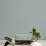 White Gardenia Ceramic Flower & Dripper Bottle 10ml | White-1
