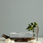 White Gardenia Tea Lights Set of 8 | White-1