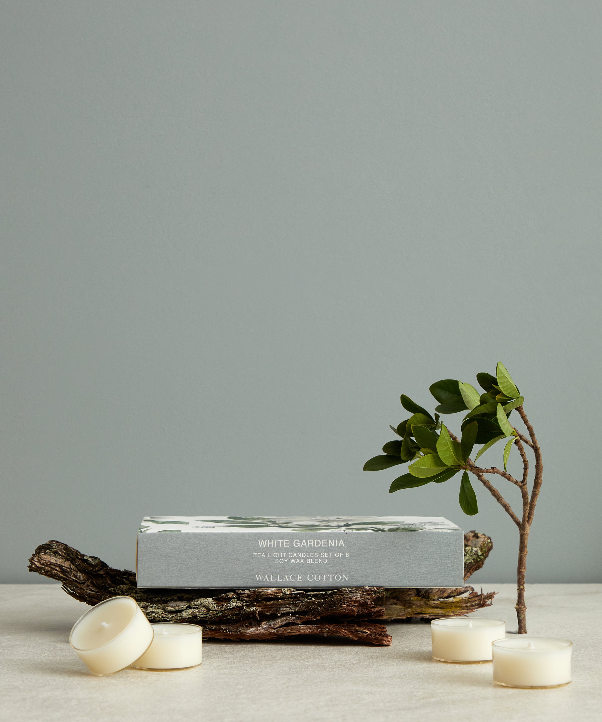 White Gardenia Tea Lights Set of 8 | White-1